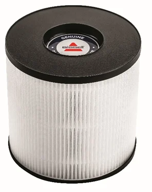 Bissell 3389 HEPA & Carbon Filter Replacement