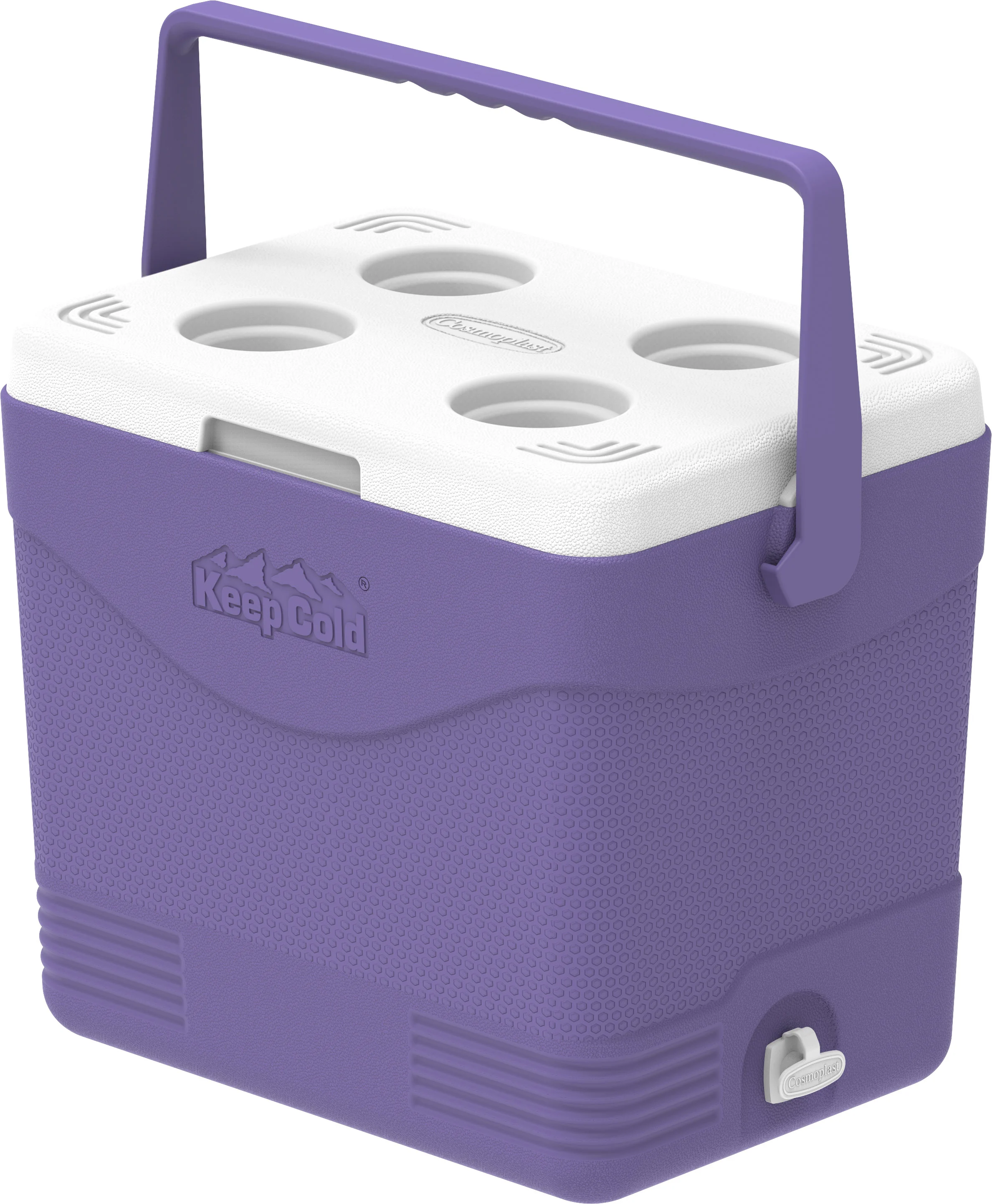 COSMOPLAST KEEPCOLD PICNIC ICEBOX 24L MFIBXX150