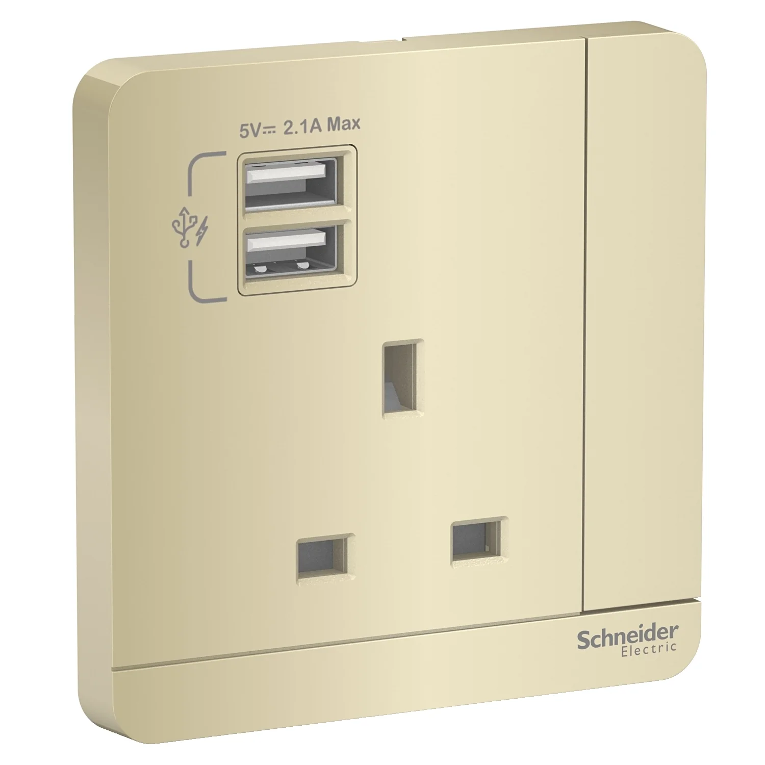 AvatarOn, 2 USB charger + switched socket, 3P, 13A, Wine Gold