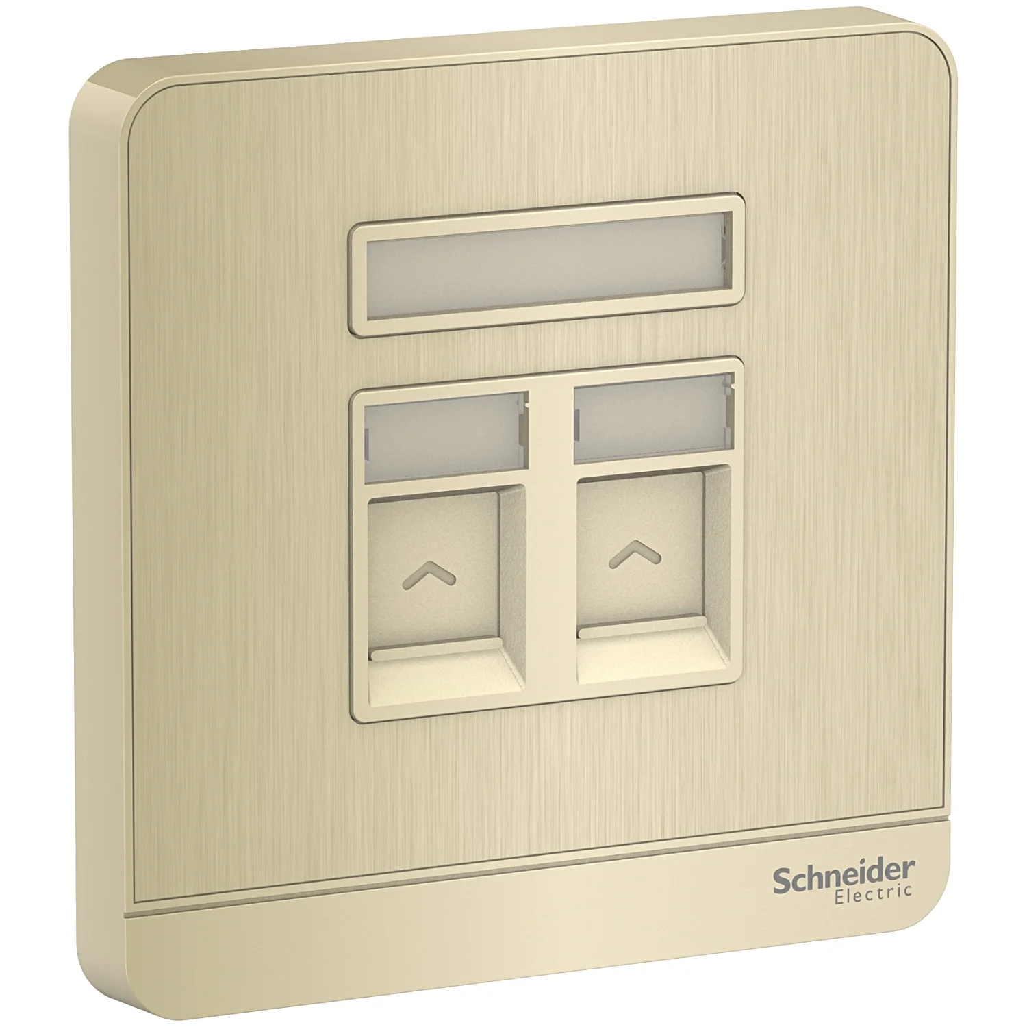 AvatarOn, wallplate for 2 keystone RJ45, Metal Gold hairline