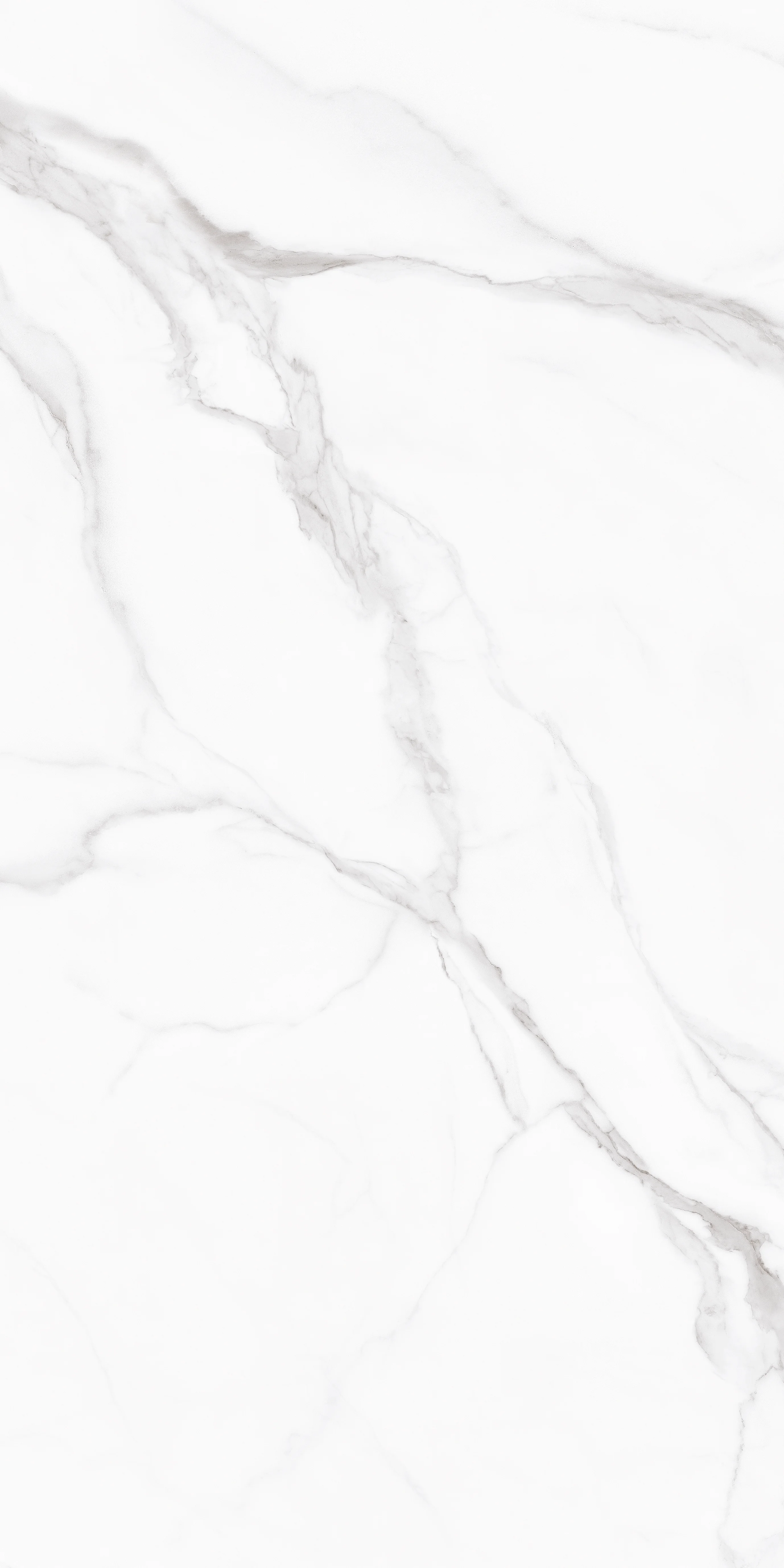 V1TP12603 / 60x120 Polished Glazed Porcelain Tile