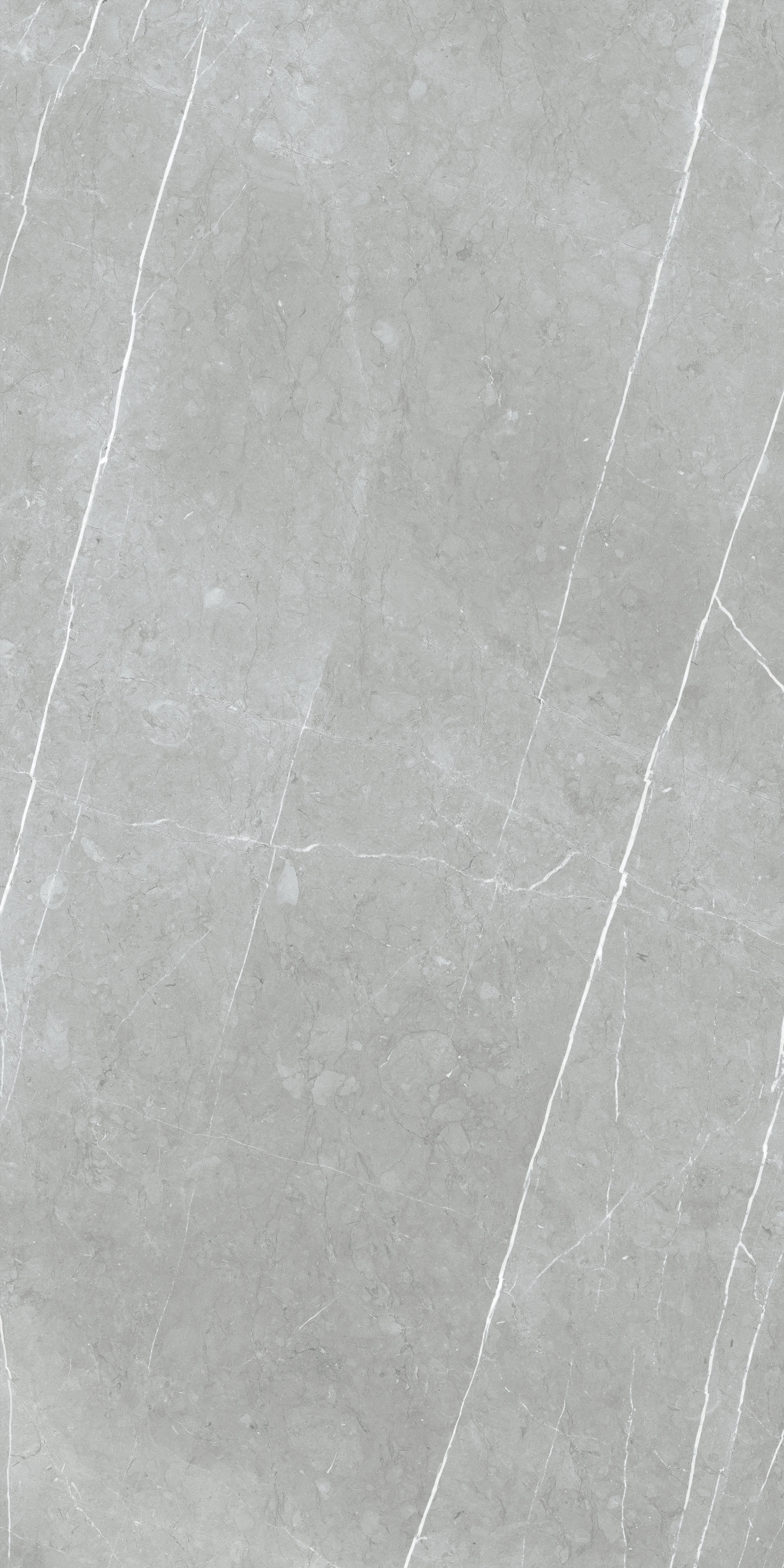 V1TP12615 / 60x120 Polished Glazed porcelain Tile