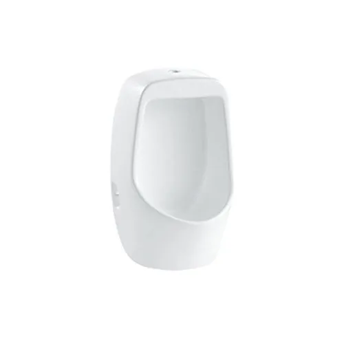 GOLDEN DRAGON BATHROOM CERAMIC WALL-HUNG URINAL-GD1082-SIZE:295x240x470mm; WHITE COLOR.