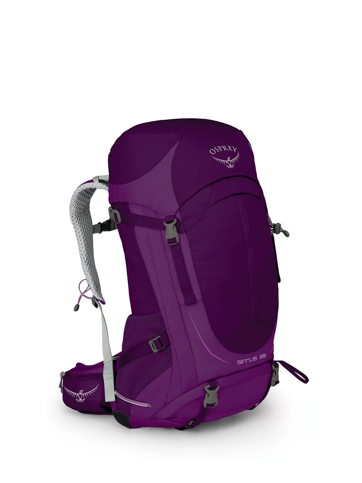 Osprey sirrus 36 on sale purple