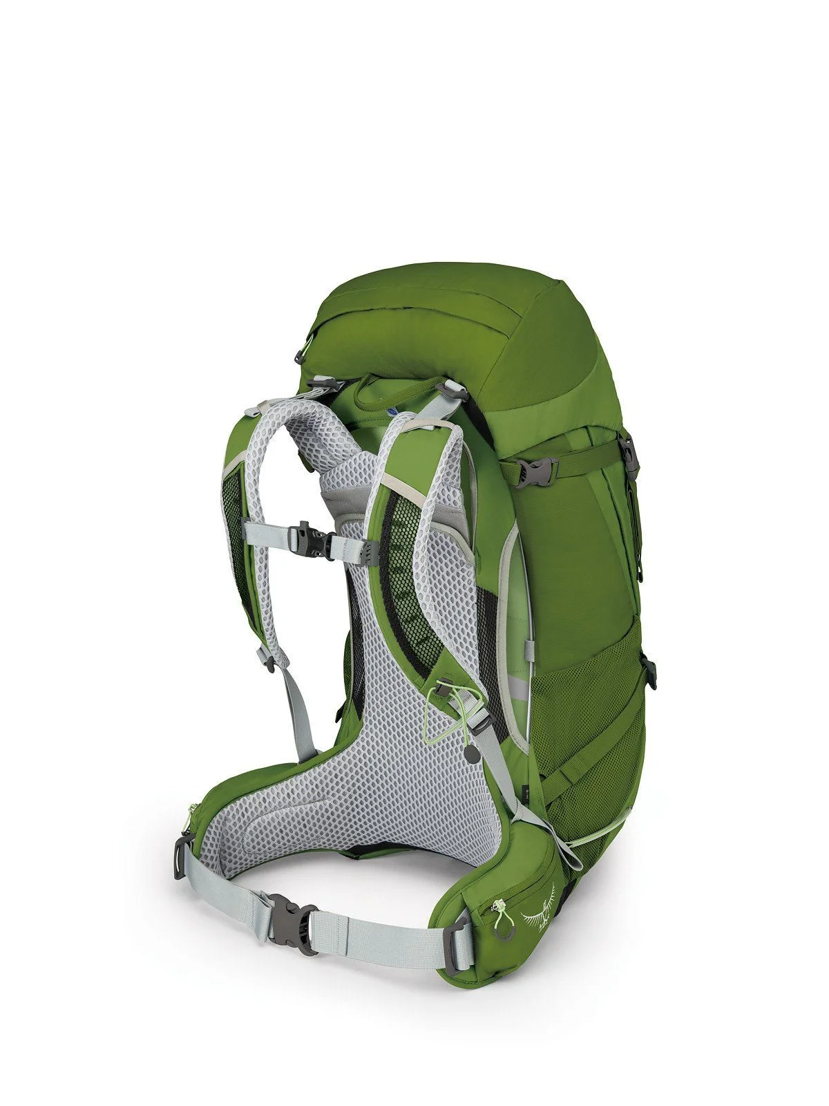 Osprey green clearance bag