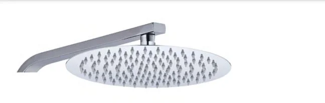 Siena Shower Head 6065201