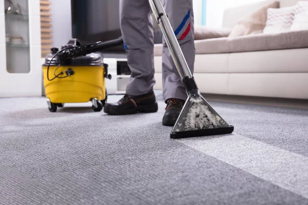 Zippco Carpet Cleaning up to 9 sqm