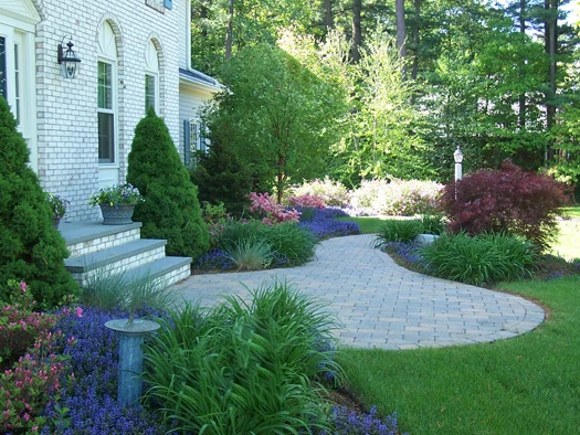 Top Dream Landscape Design Services