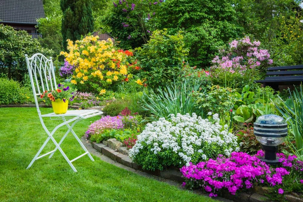 Top Dream Landscape Execution of Soft landscaping with plant type, texture and colour Services