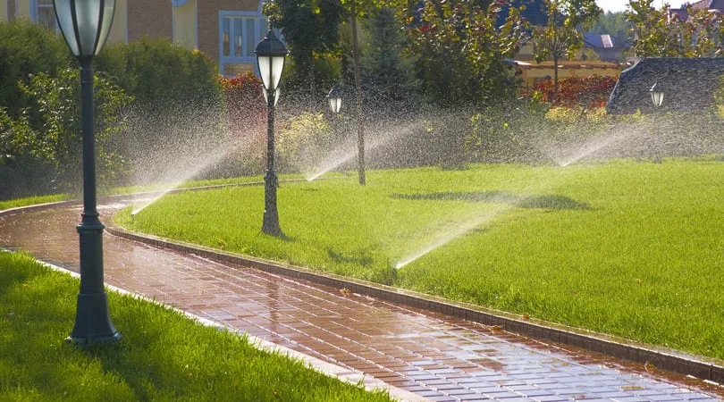 Top Dream Landscape Design and Install Automatic Irrigation system(Sprinkler and Drip) Services