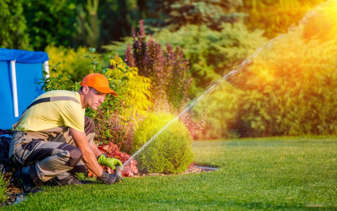 Top Dream Landscape Rectification of Old and inefficient Irrigation system Maintainence Services