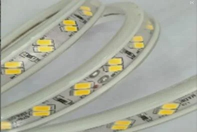 5730 Double Line LED Strip, 120 pcs/meter, 10mm, 220V