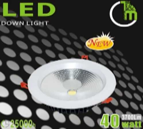 40W COB LED Downlight, IP44