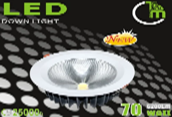 70W COB LED Downlight, IP44