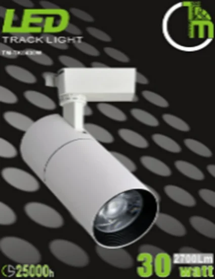 30W Track Light, White Body