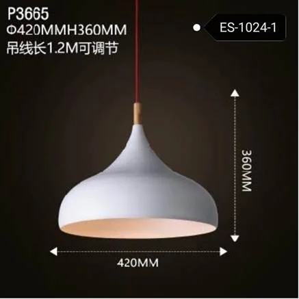 Pendant Lamp/ Hanging Lamp 1005-1 ?320*270 GD+BK