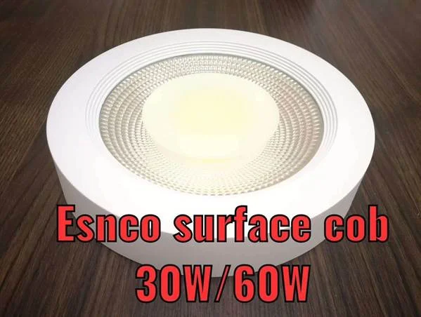 ESNCO COB Down Light SF 60W WH