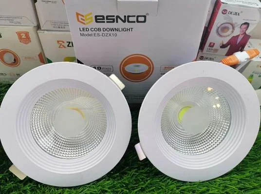 ESNCO COB Down Light SL 20W WH/ww