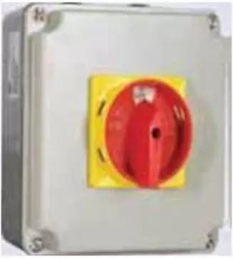 Aluminium Enclosure IP65 32A 2Pole, 380 - 440 Volts, 60Hz Load Break Switch (LBS)