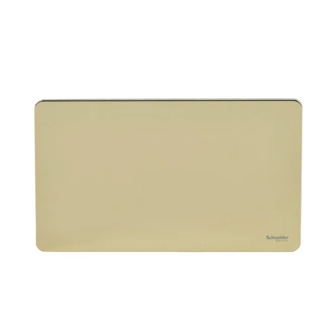 Schneider Electric Ultimate blank plate 2 gangs polished brass GU8420PB