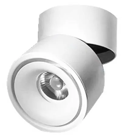 ADJUSTABLE LED SURFACE SPOT LIGHT WHITE BODY 10W 6000K - LITEX