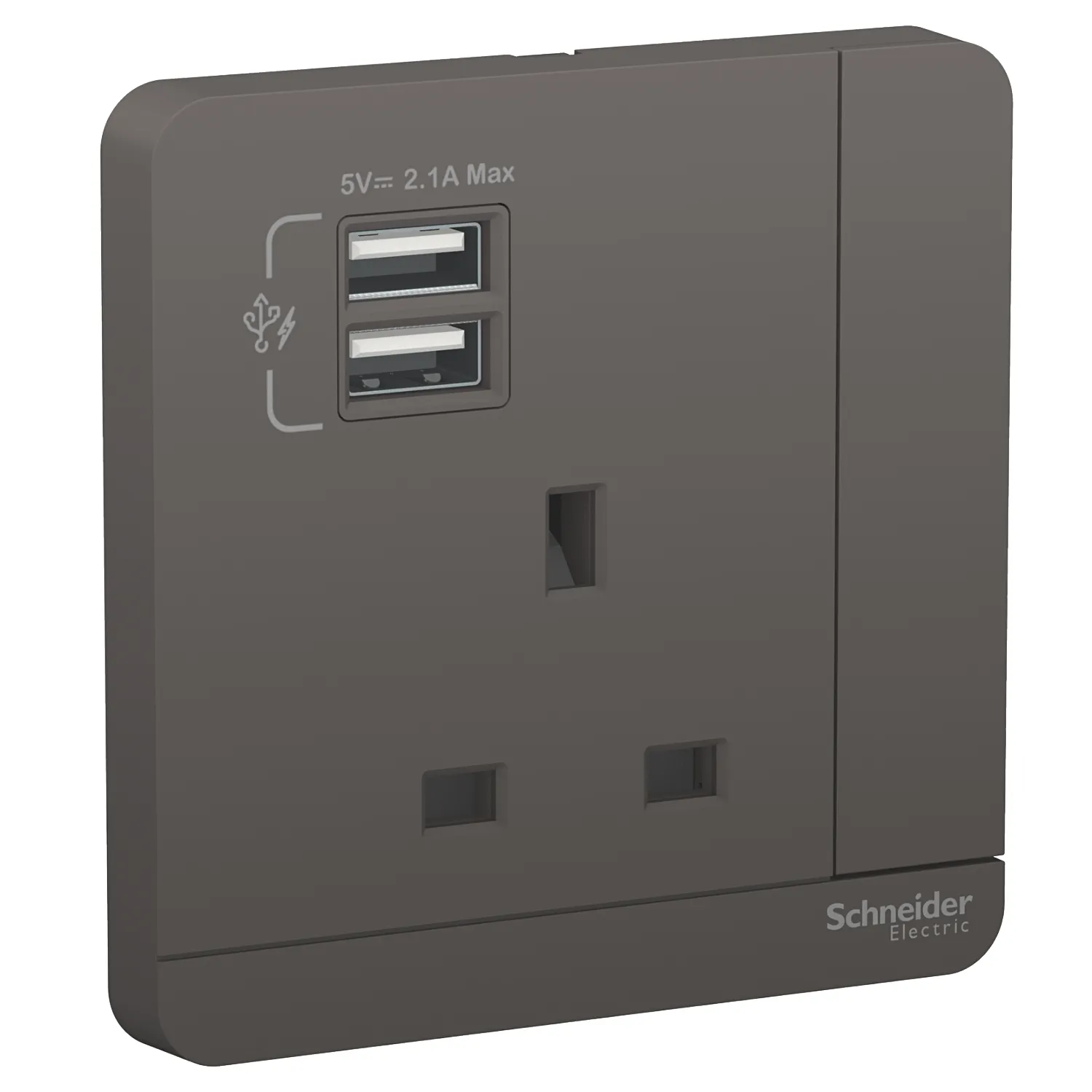 AvatarOn, 2 USB charger + switched socket, 3P, 13A, Dark Grey E8315USB_DG_G12