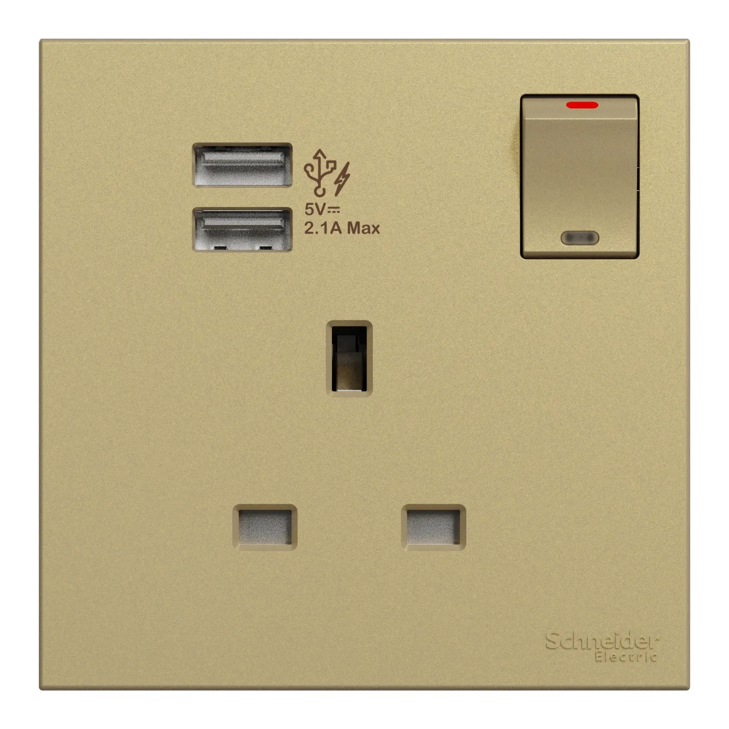 AvatarOn C, Switch Socket,13A, 1 gang, 2.1A two port USB, wine gold E8715USB_WG