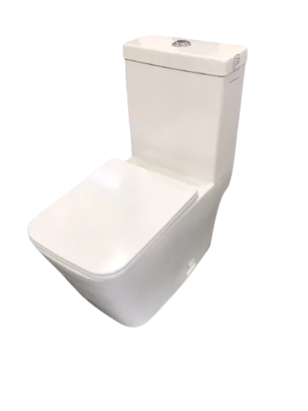 Washdown One Piece Toilet