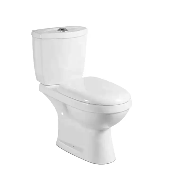 Washdown Two Piece Toilet