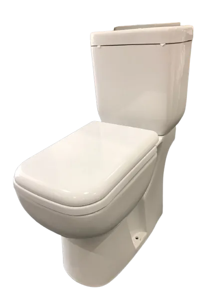 Washdown Two Piece Toilet