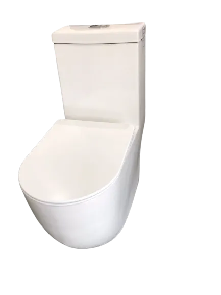 Washdown One Piece Toilet