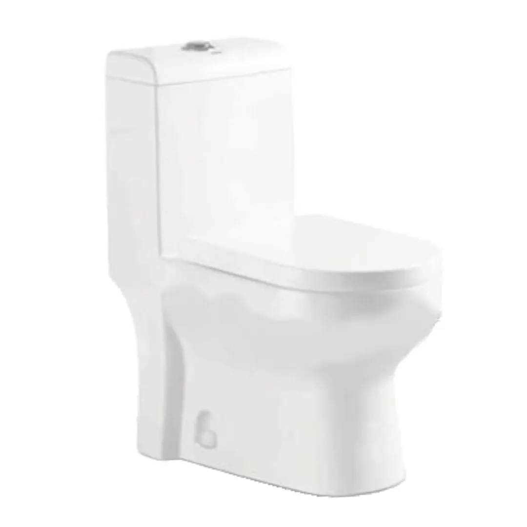 Washdown One Piece Toilet