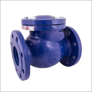 Check Valve