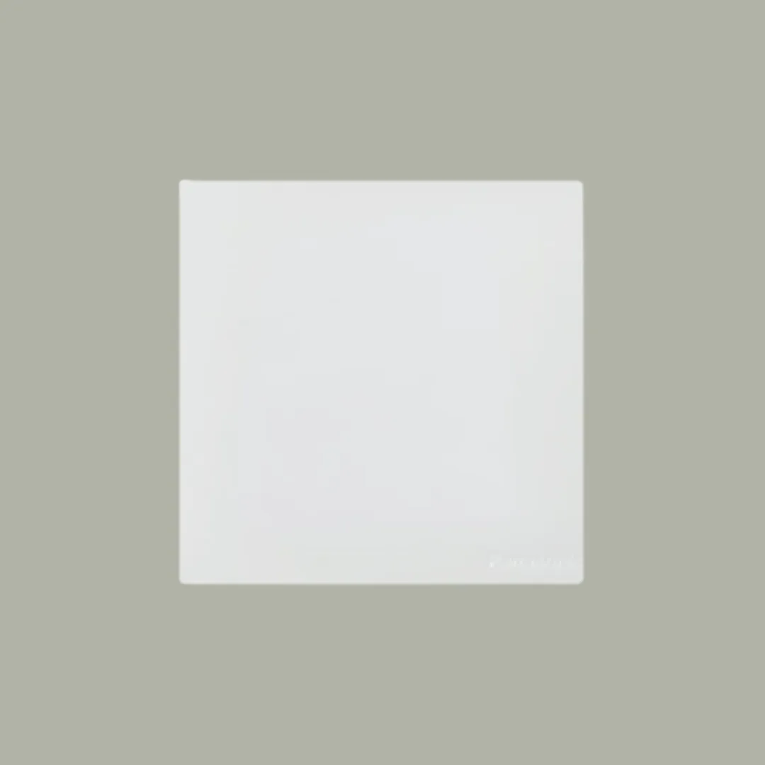 1G BLANK PLATE REFINA METALLIC WHITE WZB7891MH-P - PANASONIC