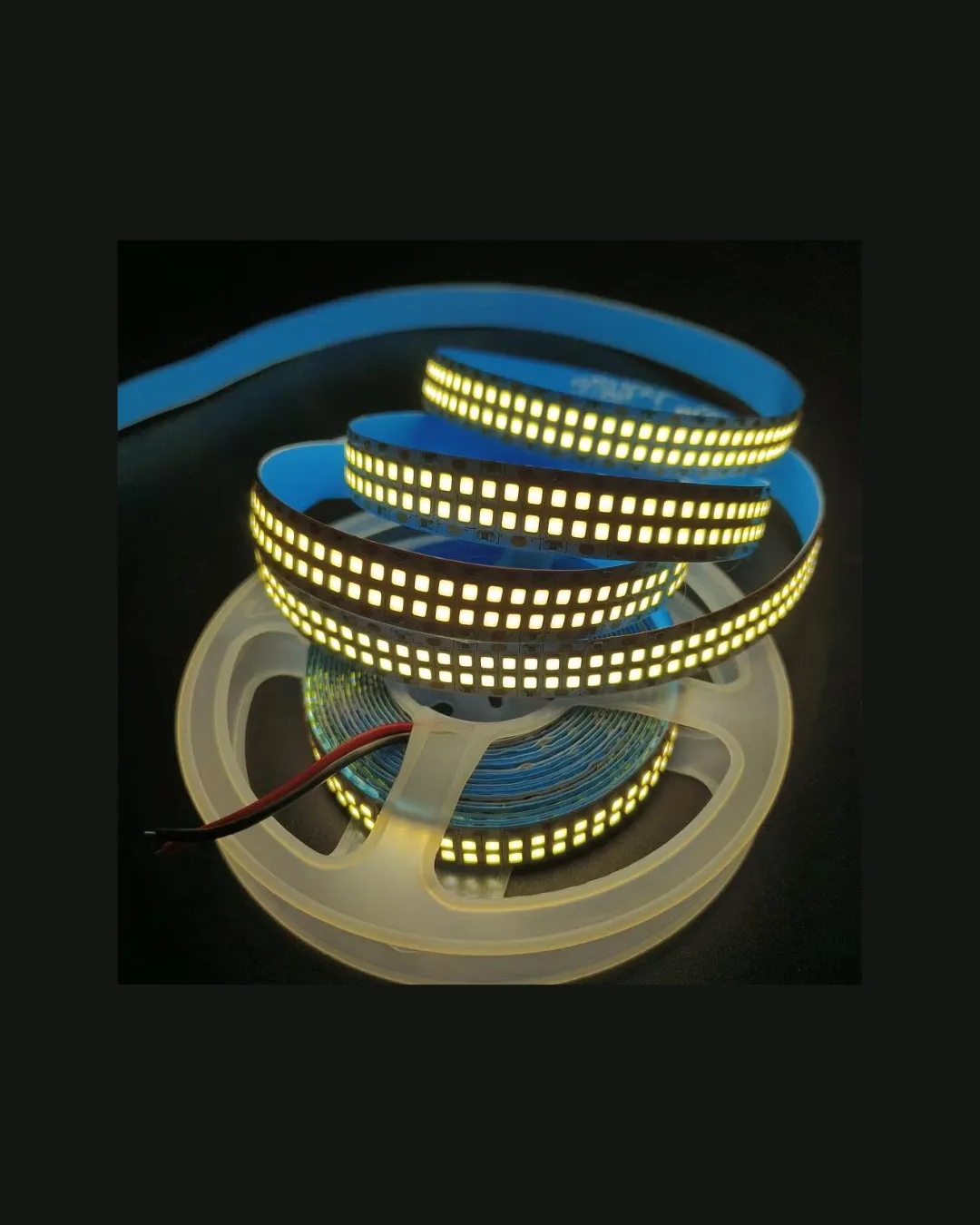 Flexolueto 2835 double 240Leds 9W/m CW IP65 LED Strip Light with power cor