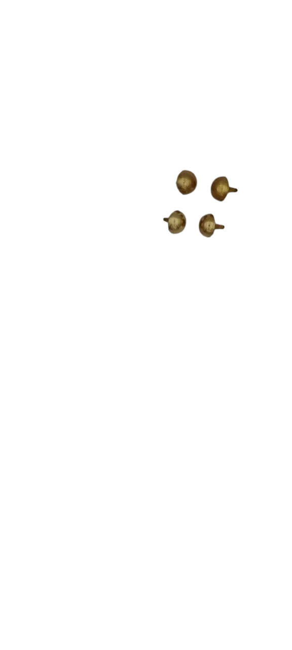 Domes BPL 3/4 inch