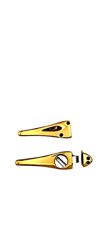 Luster Bathroom Latch
