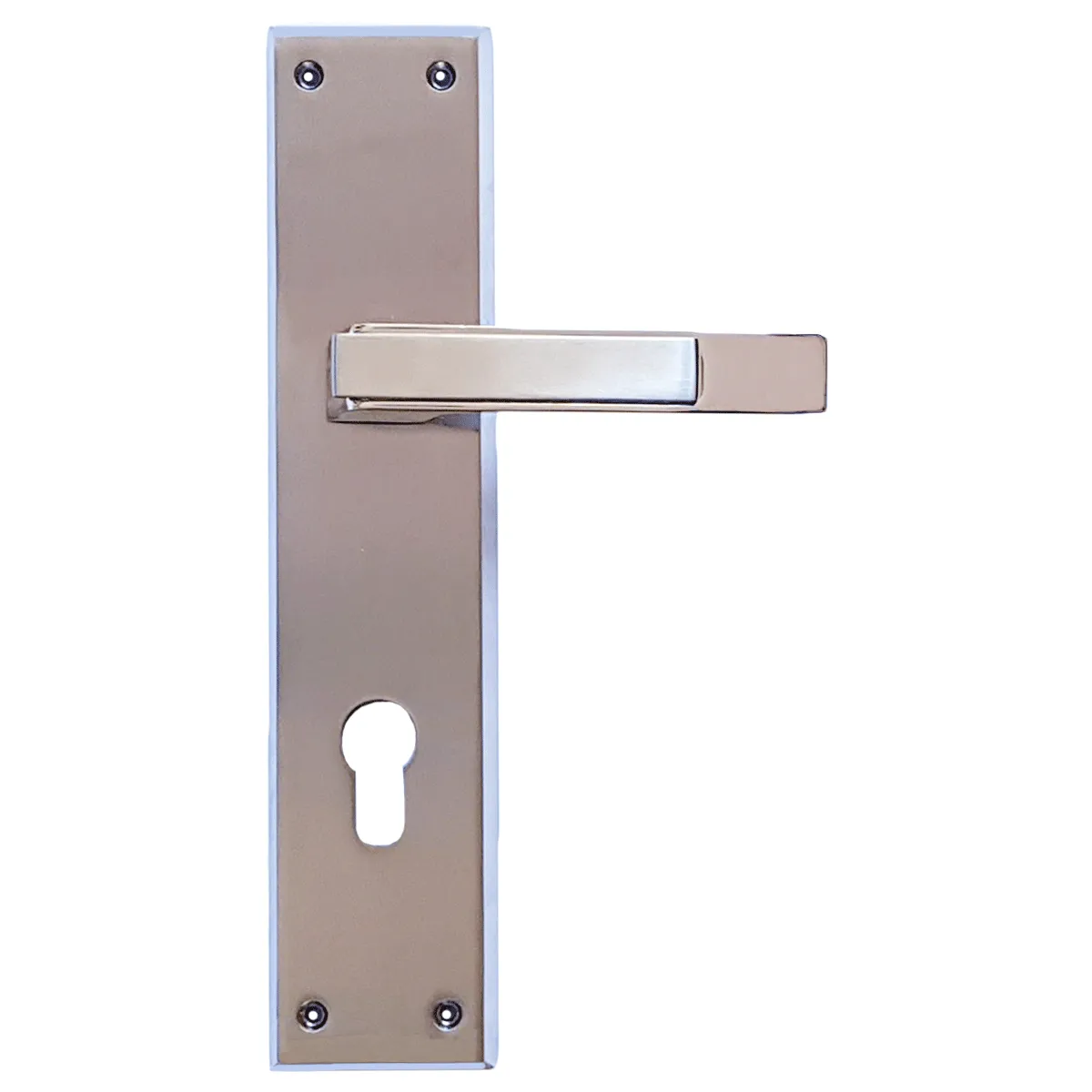 Dorfit Mortise Handle Alfa 10" Zinc Stainless Steel