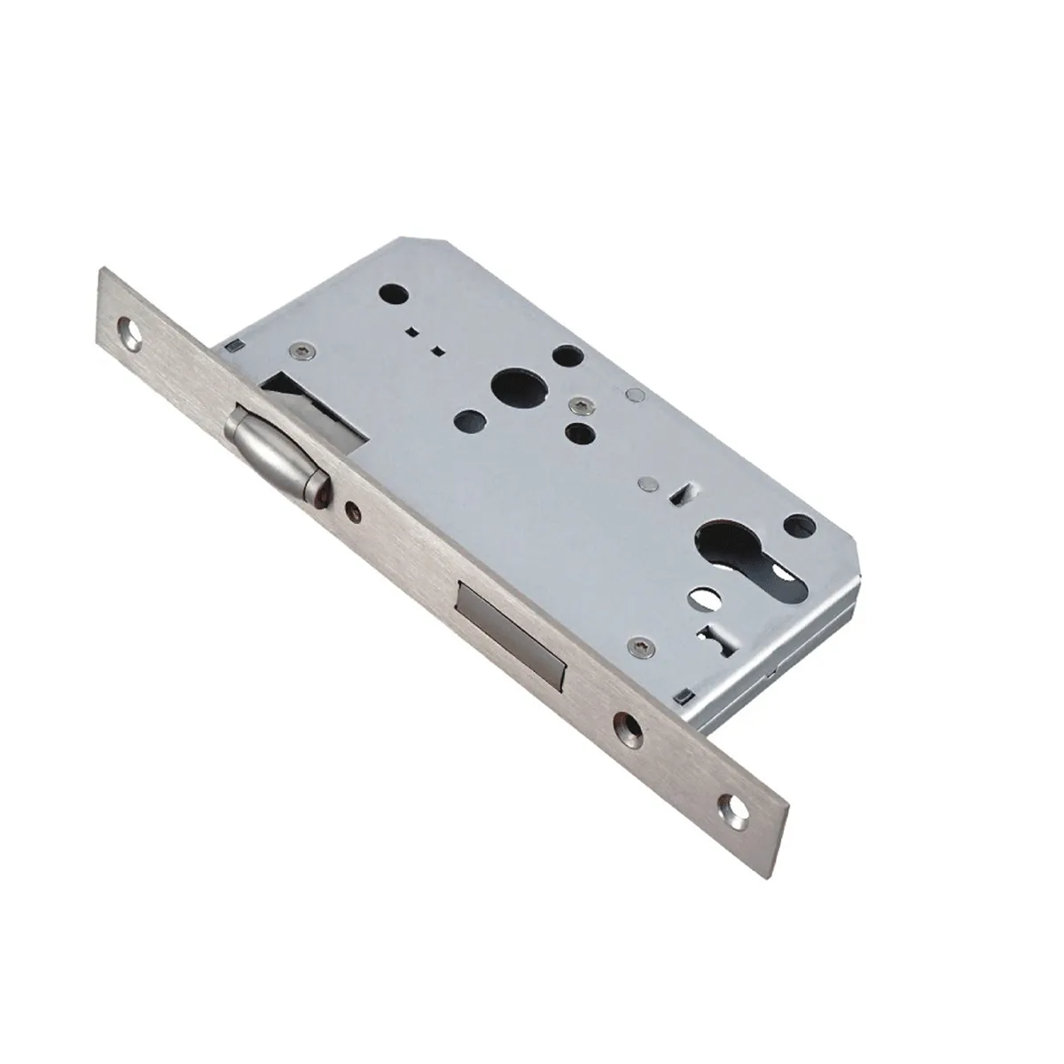 Dorfit Euro Roller Dead Bolt Lock DTML010 235 x 85 mm Stainless Steel  PVD