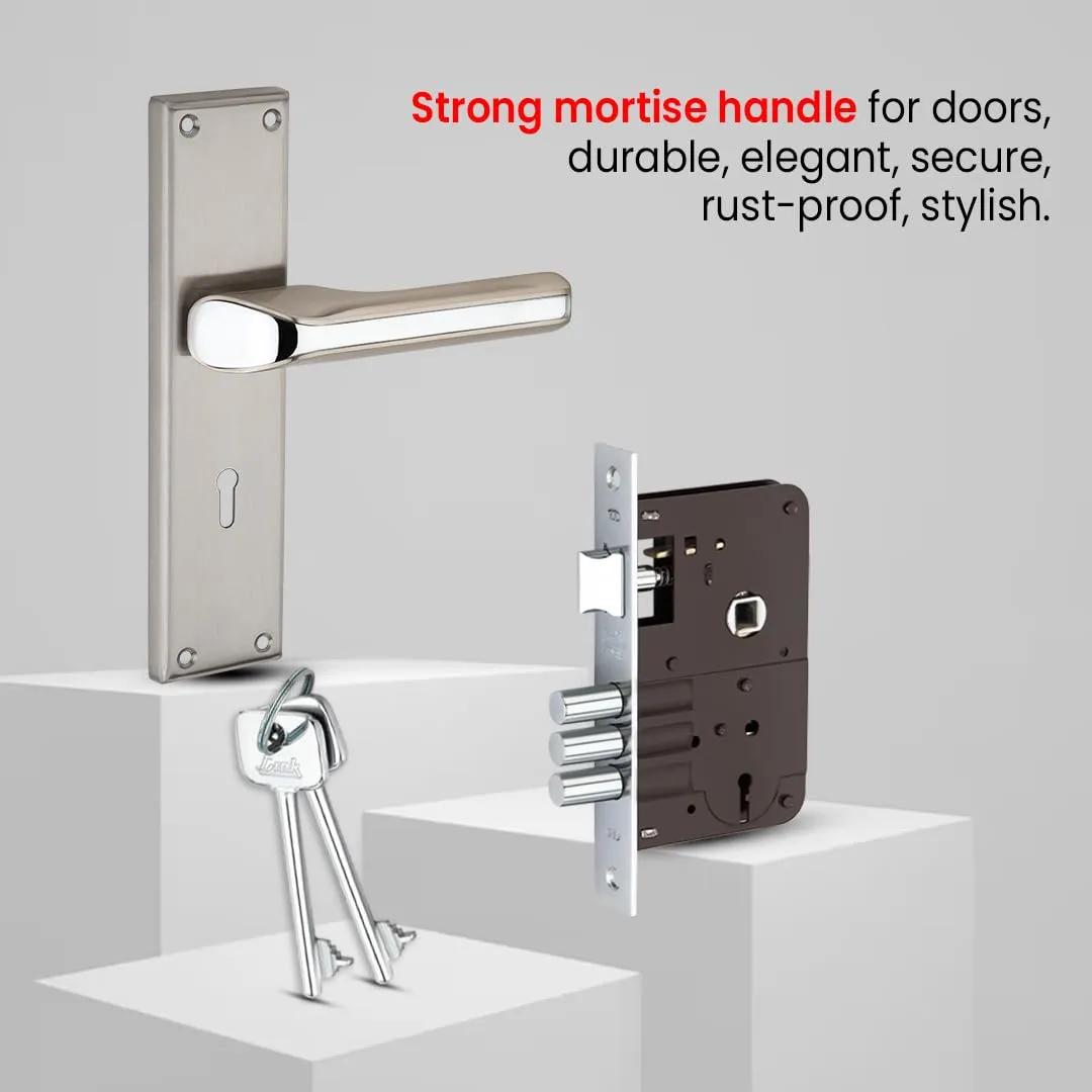 Link Texa Mortise Lock |for Main & Internal Door in Residential & Commercial Spaces | 8 Inches Heavy Duty Handle Set with Both Side Key Access, 3 Keys,6 Lever Lock Body |SS Finish|2 Years Warranty